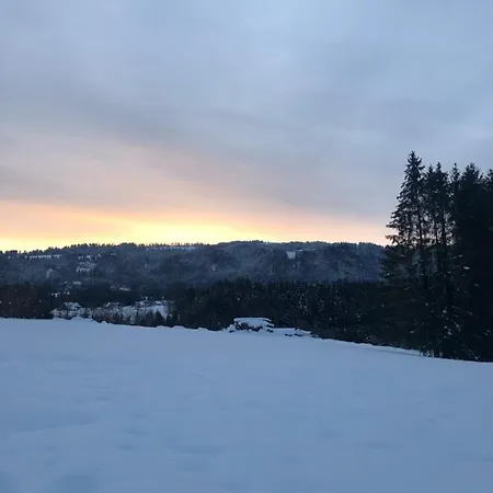 Ferienwohnung Samys Nahe Lindau Am Bodensee Apartman *