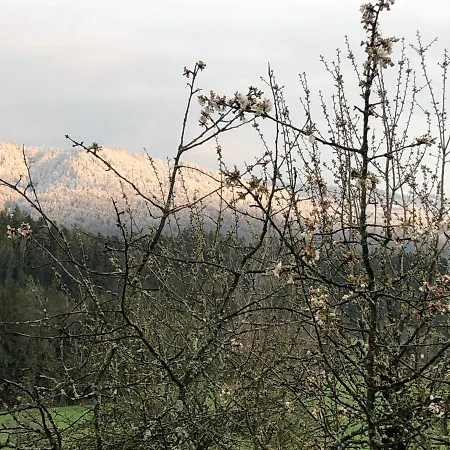 Ferienwohnung Samys Nahe Lindau Am Bodensee Apartmán